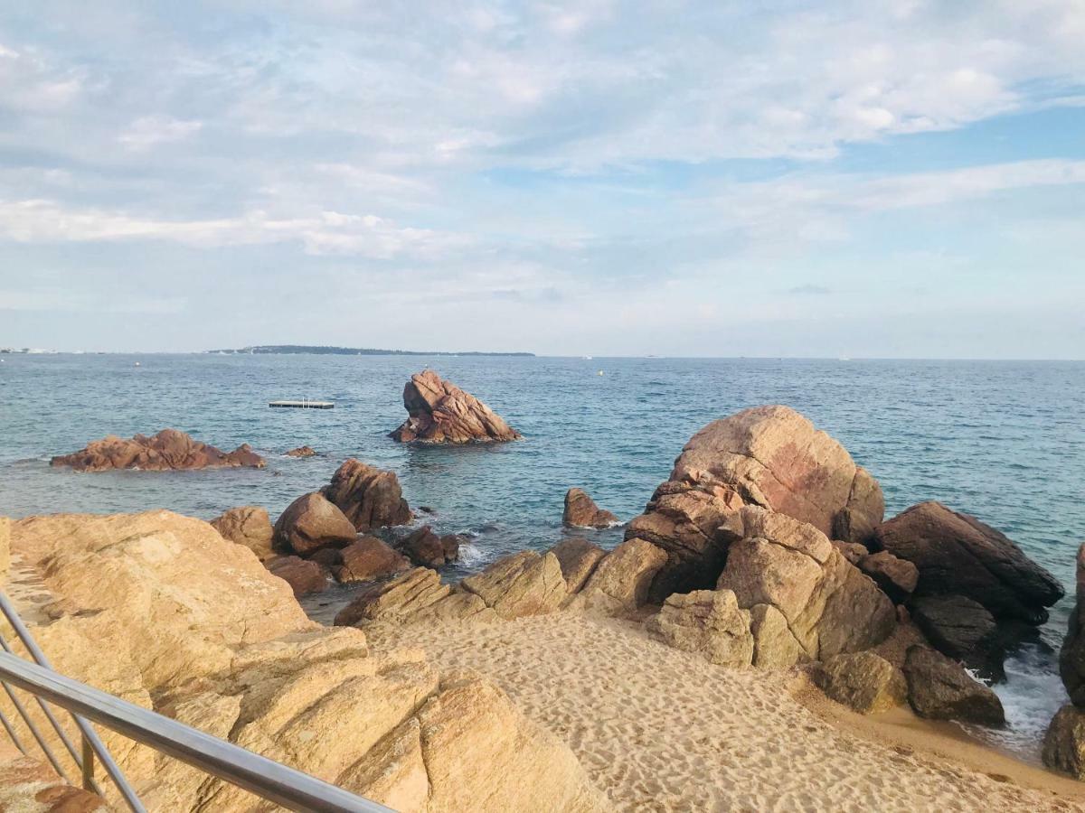 Studio Chateau De La Mer Κάννες Εξωτερικό φωτογραφία